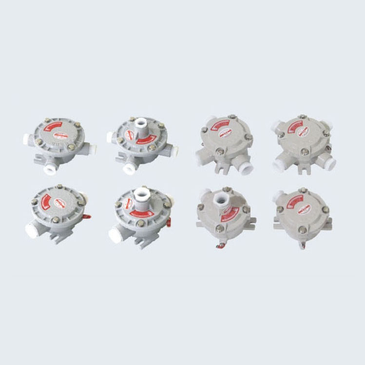 AH系列防爆接線(xiàn)盒(IIB、IIC、Ex tD)